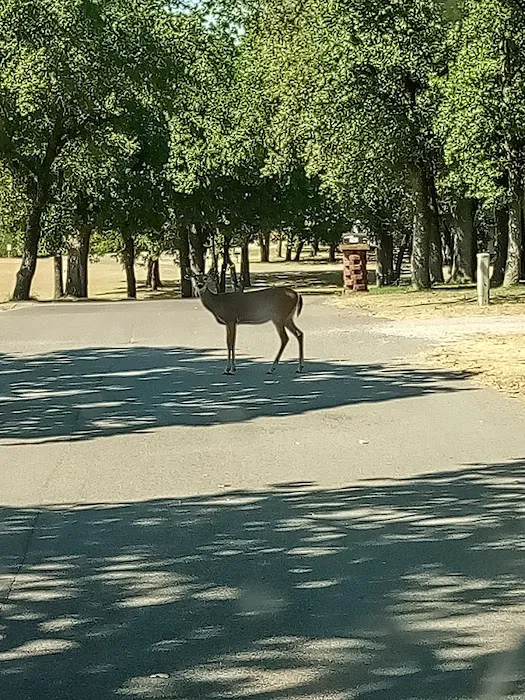 LH Campground, Fishing, Pavillion Picture 5