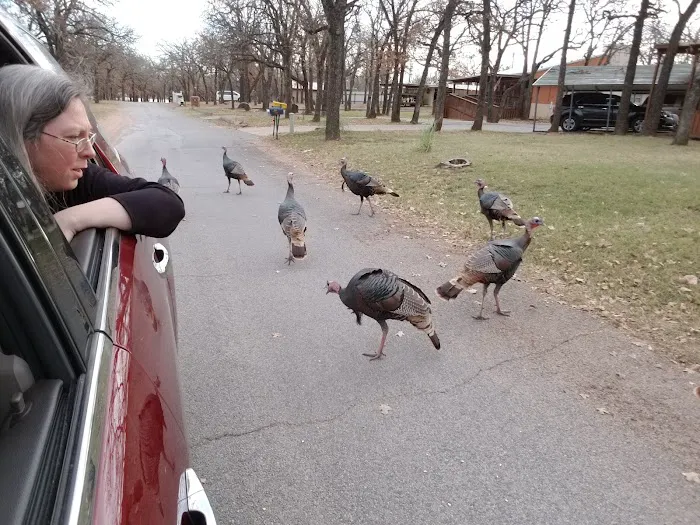 LH Campground, Fishing, Pavillion Picture 7