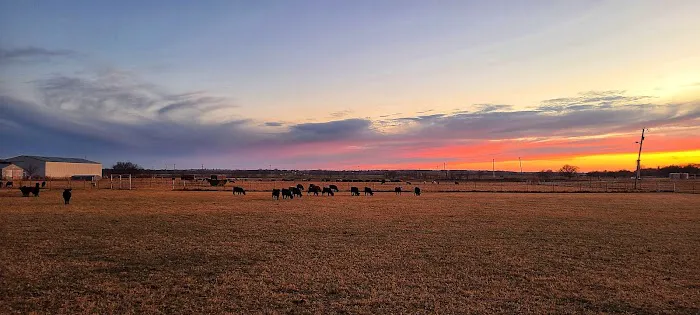 Lyndle Shelby Picture 1