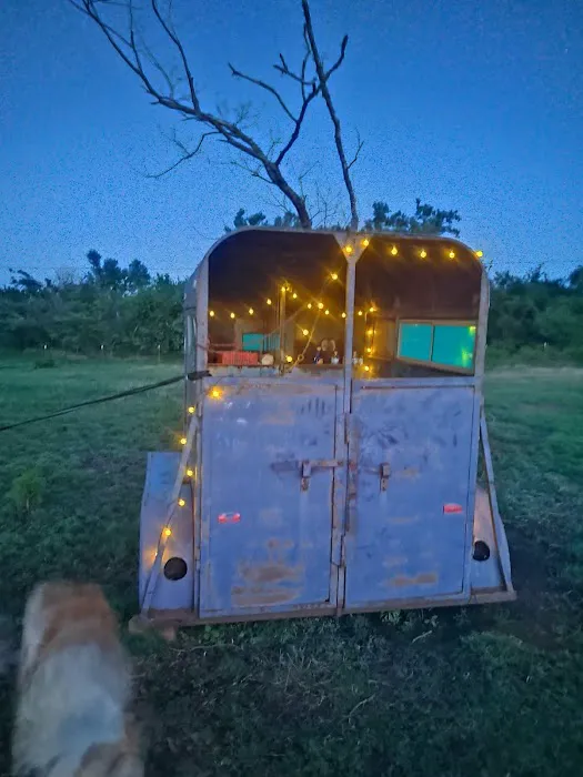 Alpaca Camping Picture 5