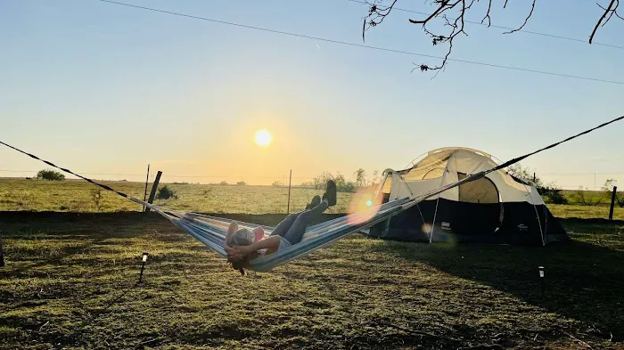 Alpaca Camping Picture 1