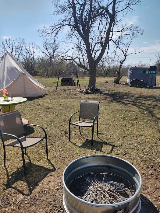 Alpaca Camping Picture 10