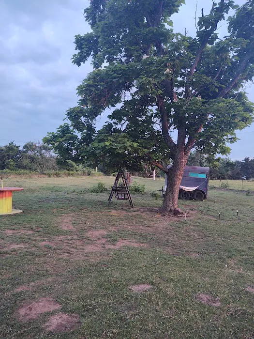 Alpaca Camping Picture 3