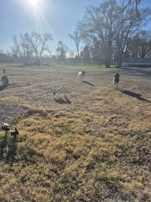 The Dam Campsites Picture 1