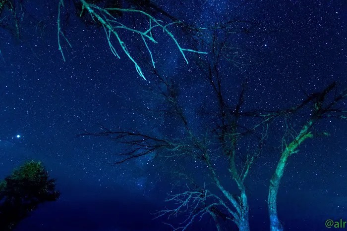 Riverside West Campground Picture 5