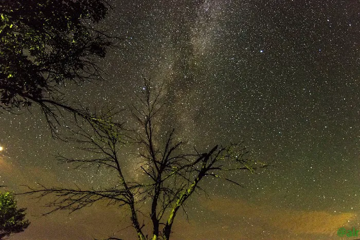 Riverside West Campground Picture 7