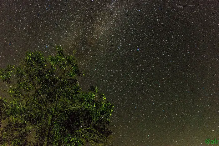 Riverside West Campground Picture 9