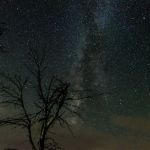 Riverside West Campground