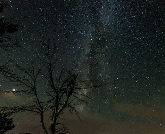 Riverside West Campground