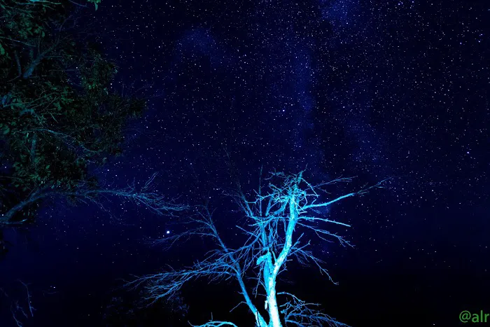 Riverside West Campground Picture 8