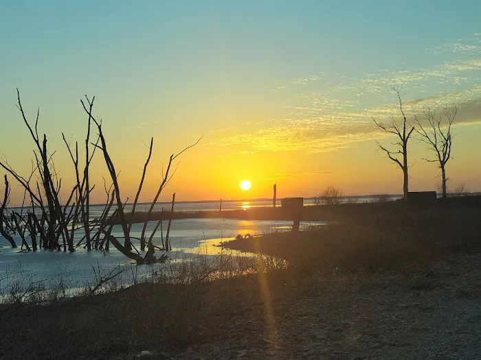 Dam Site Campground Picture 9