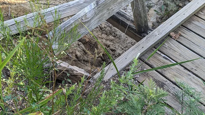 Bluestem Campground Picture 3