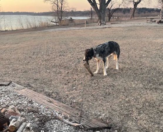 Quarry Bay Campground
