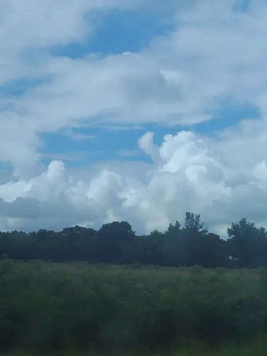 Whitehall Bay Campground Picture 7