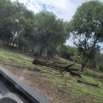 Rock Ridge South Campground