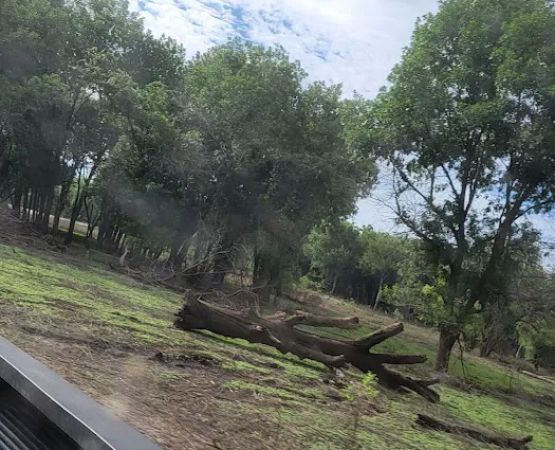 Rock Ridge South Campground