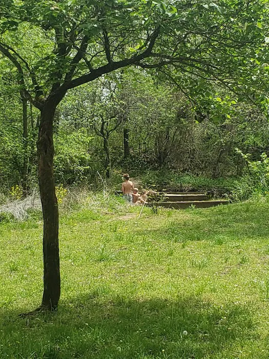 Prairie State Park Campground Picture 6