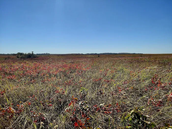 Prairie State Park Campground Picture 2