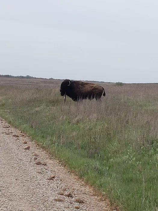 Prairie State Park Campground Picture 3