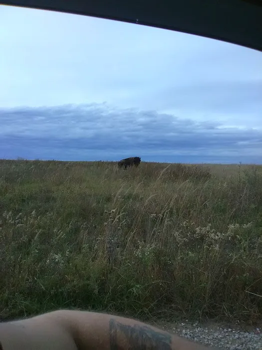 Prairie State Park Campground Picture 5