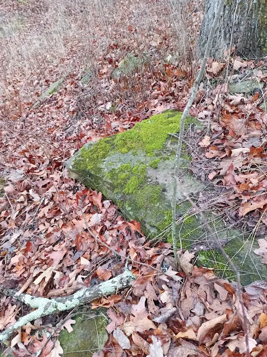 Bushwhacker Lake Conservation Area Picture 5