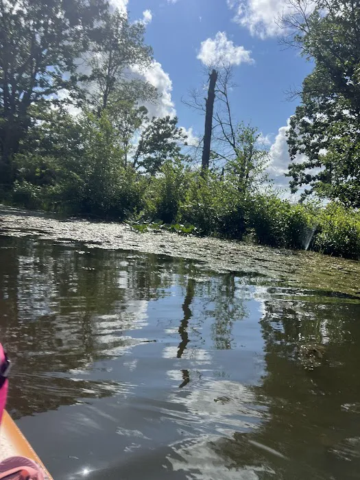 Bushwhacker Lake Conservation Area Picture 9