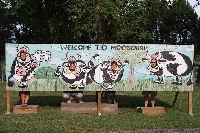 Springfield / Route 66 KOA Holiday Picture 2