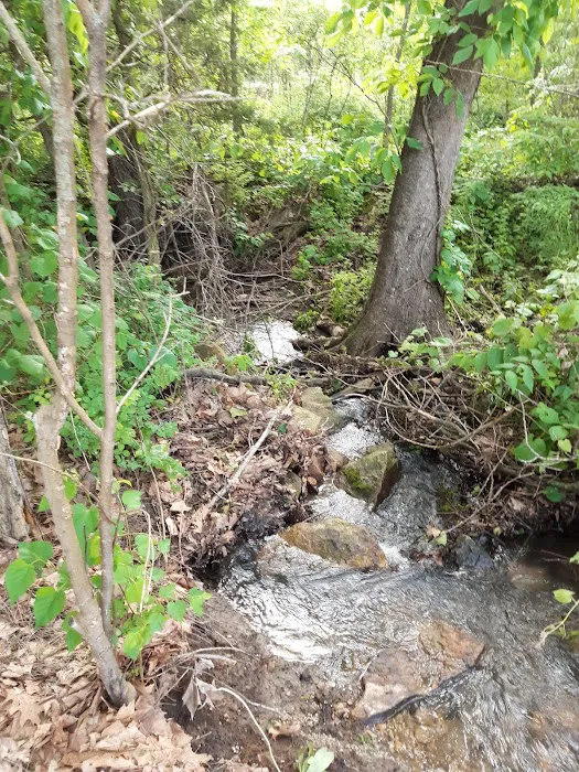 Evening Star Campground, Stockton Lake, MO Picture 2