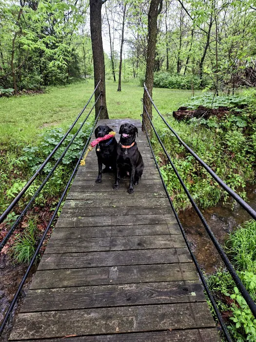Evening Star Campground, Stockton Lake, MO Picture 8