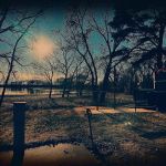 El Dorado Lake - Bluestem Point Area - Sunflower Meadow