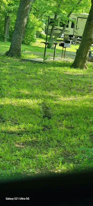 El Dorado Lake - Bluestem Point Area - Sunflower Meadow Picture 2