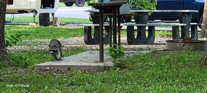 El Dorado Lake - Bluestem Point Area - Sunflower Meadow Picture 7
