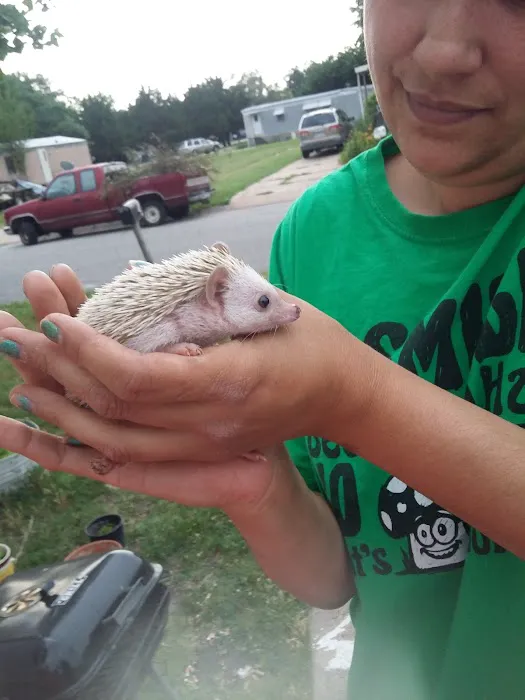 Country Club Ests & Mobile Home Picture 1