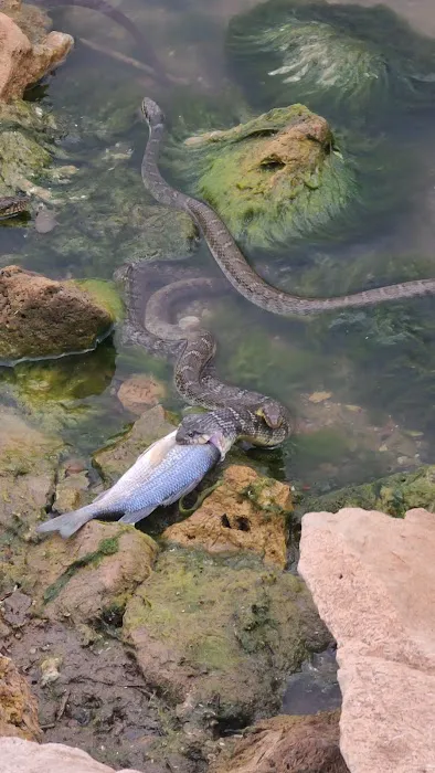 Marina Campground Picture 6