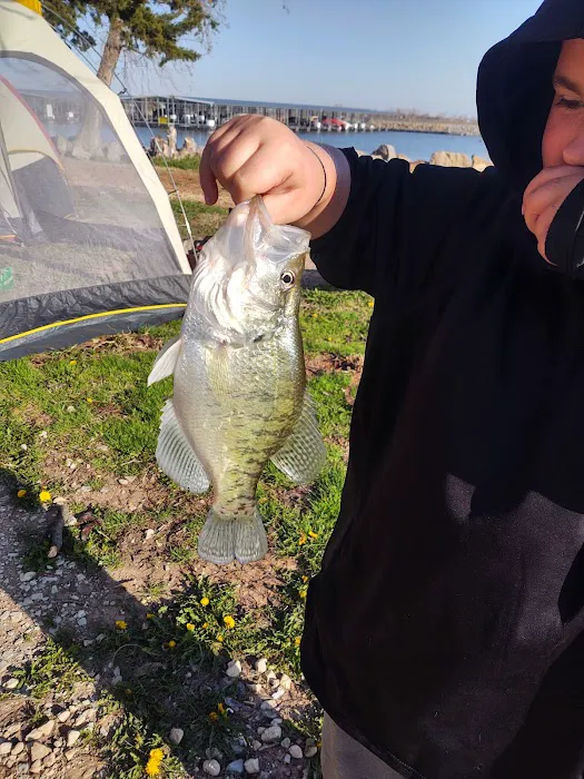 Marina Campground Picture 5