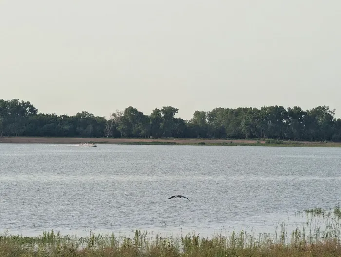 M&M Point Campground Picture 5