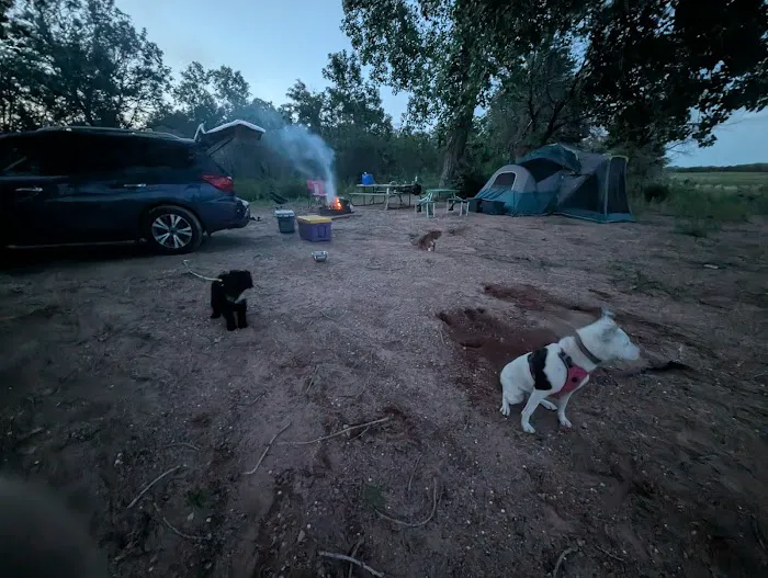 M&M Point Campground Picture 8