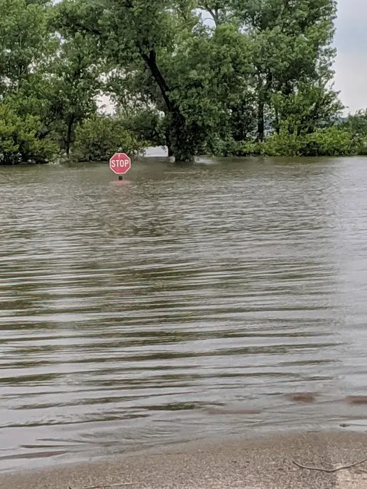 M&M Point Campground Picture 3