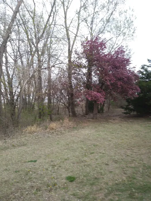 South Loop Campground Picture 4