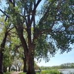 Hobie Beach Campground