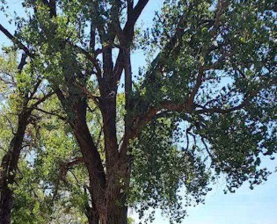 Hobie Beach Campground