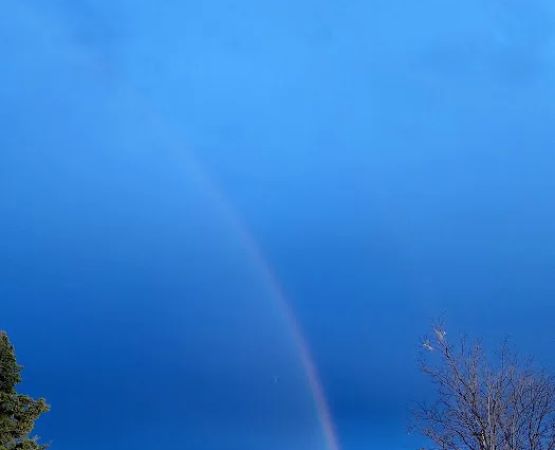 North Loop Campground