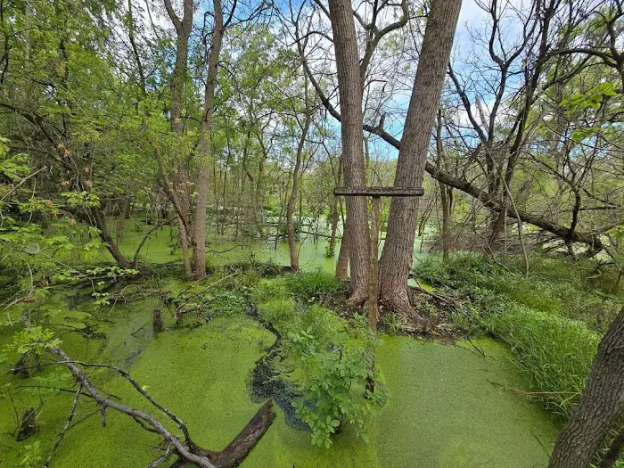 North Loop Campground Picture 9