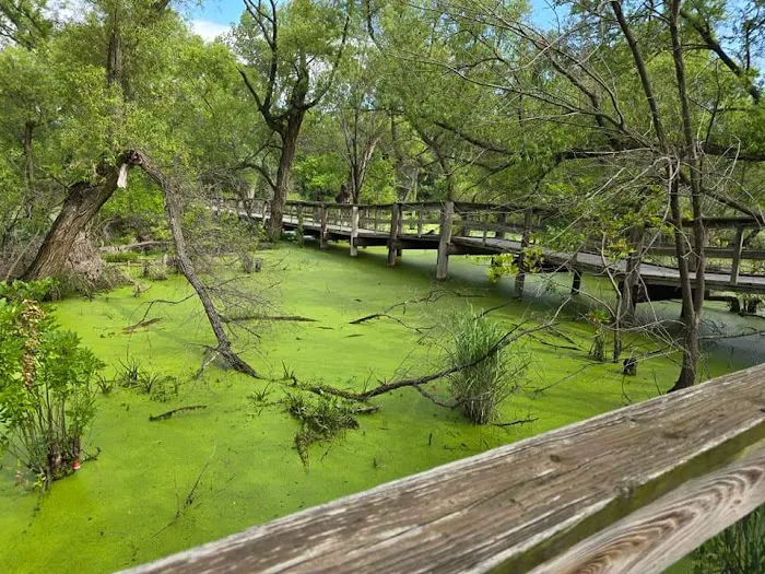 North Loop Campground Picture 8