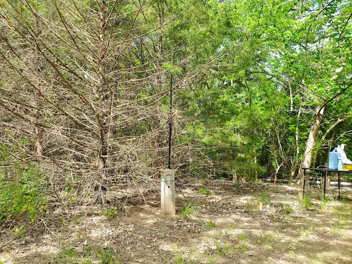 Deweese Campground Picture 9