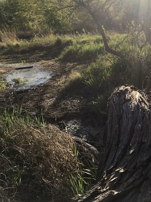 Deweese Campground Picture 2