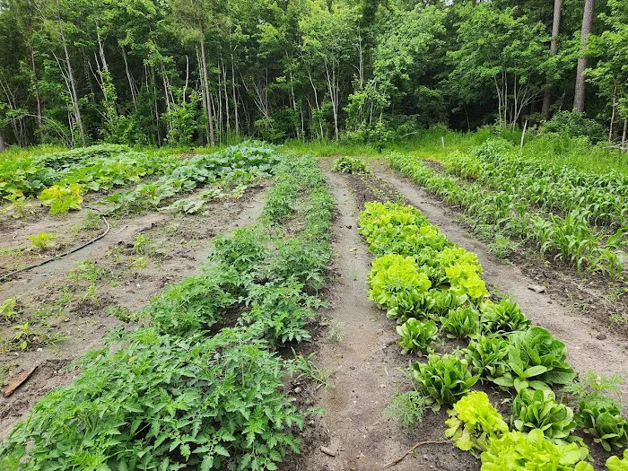 Natures Trace Park Picture 2