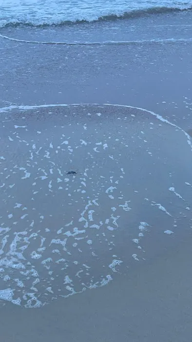 Frisco Woods Campgrounds Inc Picture 8