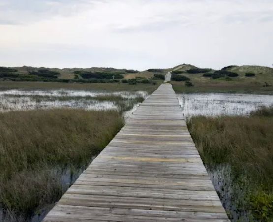 Cape Hatteras National Seashore - Frisco