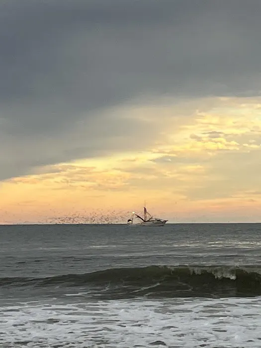 Cape Hatteras National Seashore - Frisco Picture 8